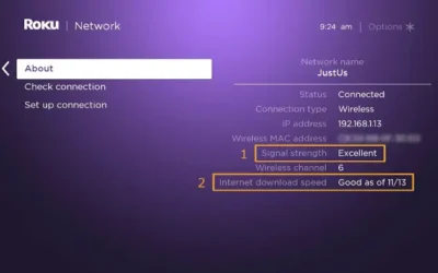 Troubleshooting Your Roku Connection